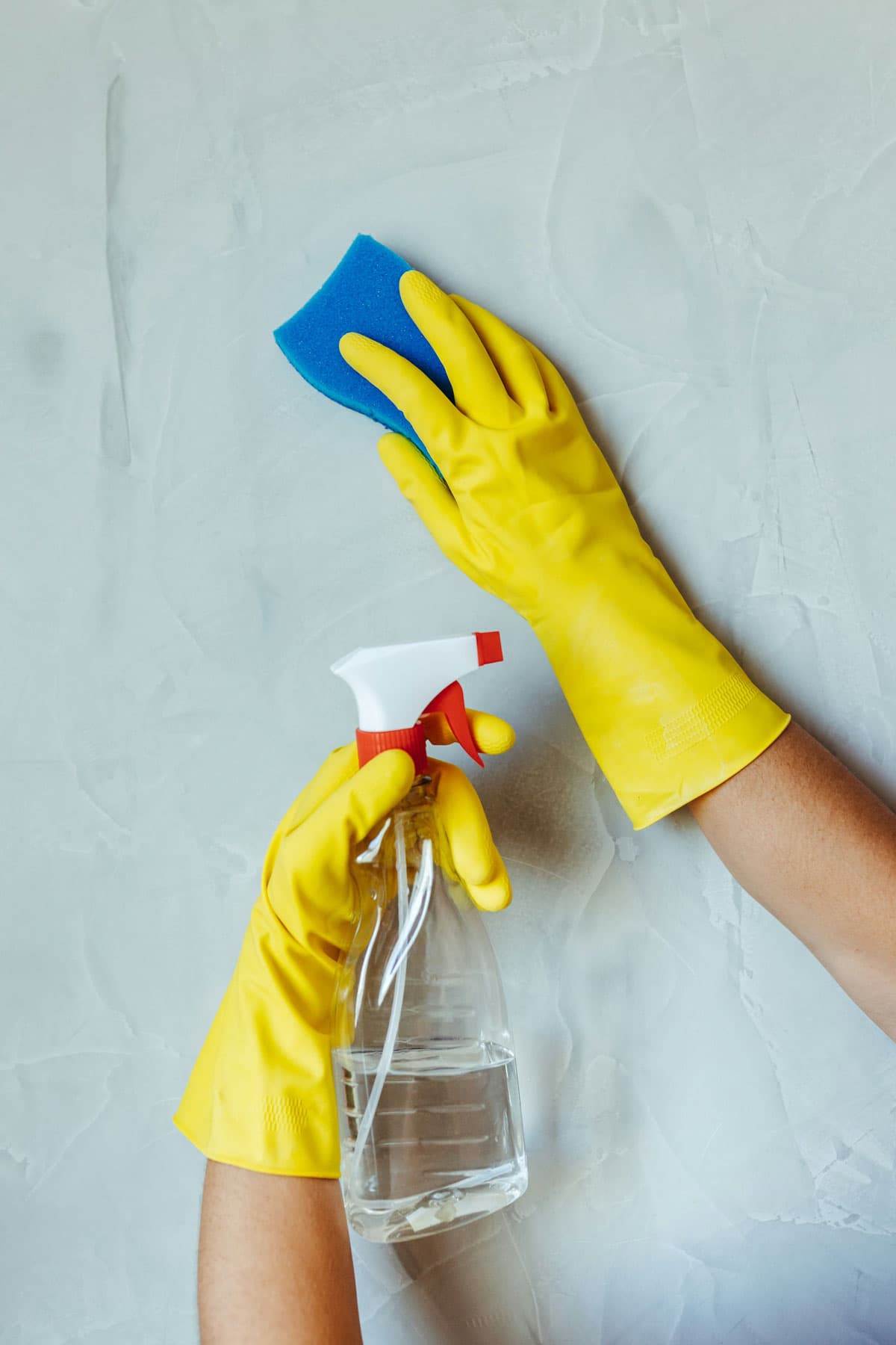 Attic Mold Removal