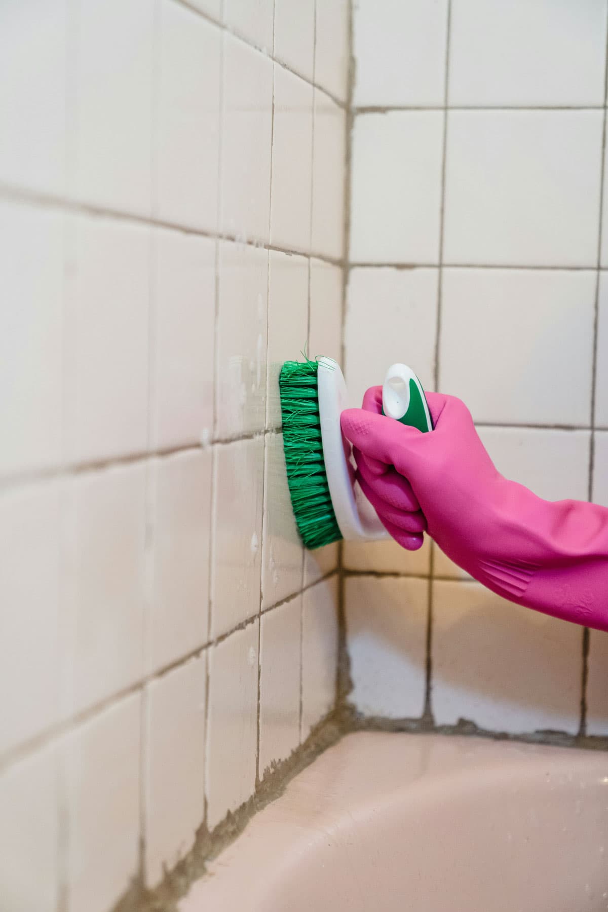 Basement Mold Removal