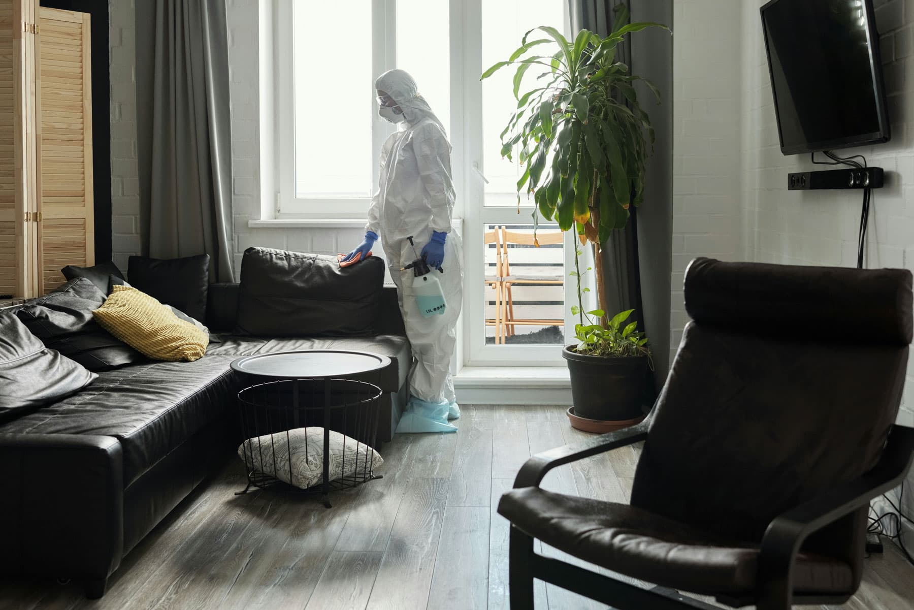 Mold inspection